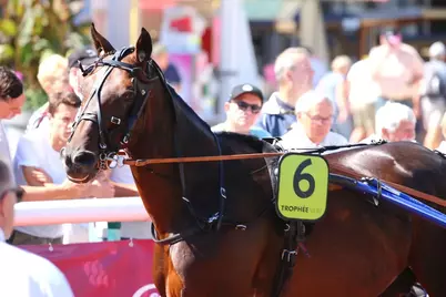 découvrez les prévisions des courses pour le 23 octobre à agen. informez-vous sur les chevaux, jockeys et conditions de course pour optimiser vos paris et vivre une expérience passionnante.