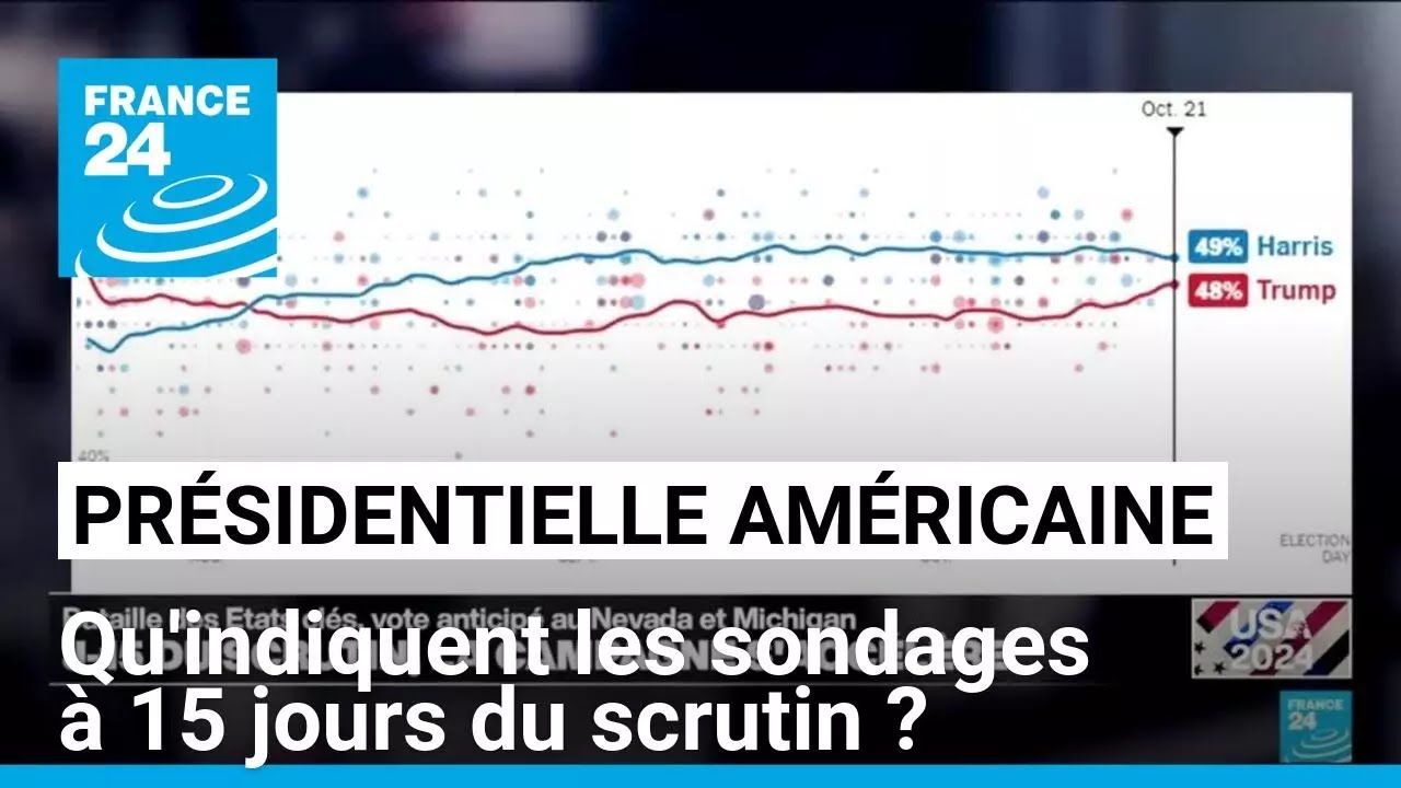 découvrez les derniers sondages sur les élections 2024 en france. analyse des tendances, des candidats et des enjeux clés pour vous aider à comprendre l'évolution du paysage politique.