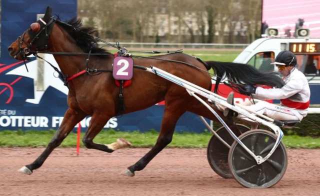 découvrez les dernières analyses et pronostics pour le quinté de vincennes du 7 décembre. ne manquez pas nos conseils d'experts pour maximiser vos chances de gains dans cette course palpitante !