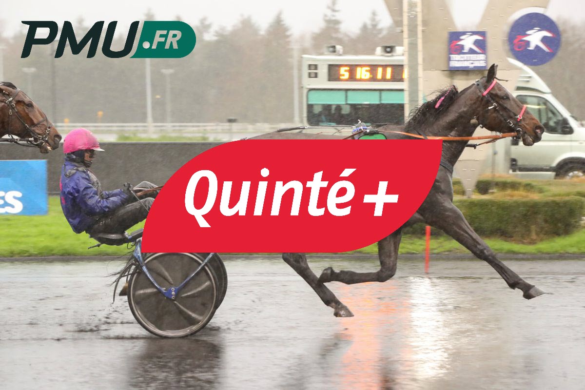 Les prévisions hippiques d&rsquo;Hervé Fortin pour le Quinté à Vincennes, jeudi 30 janvier