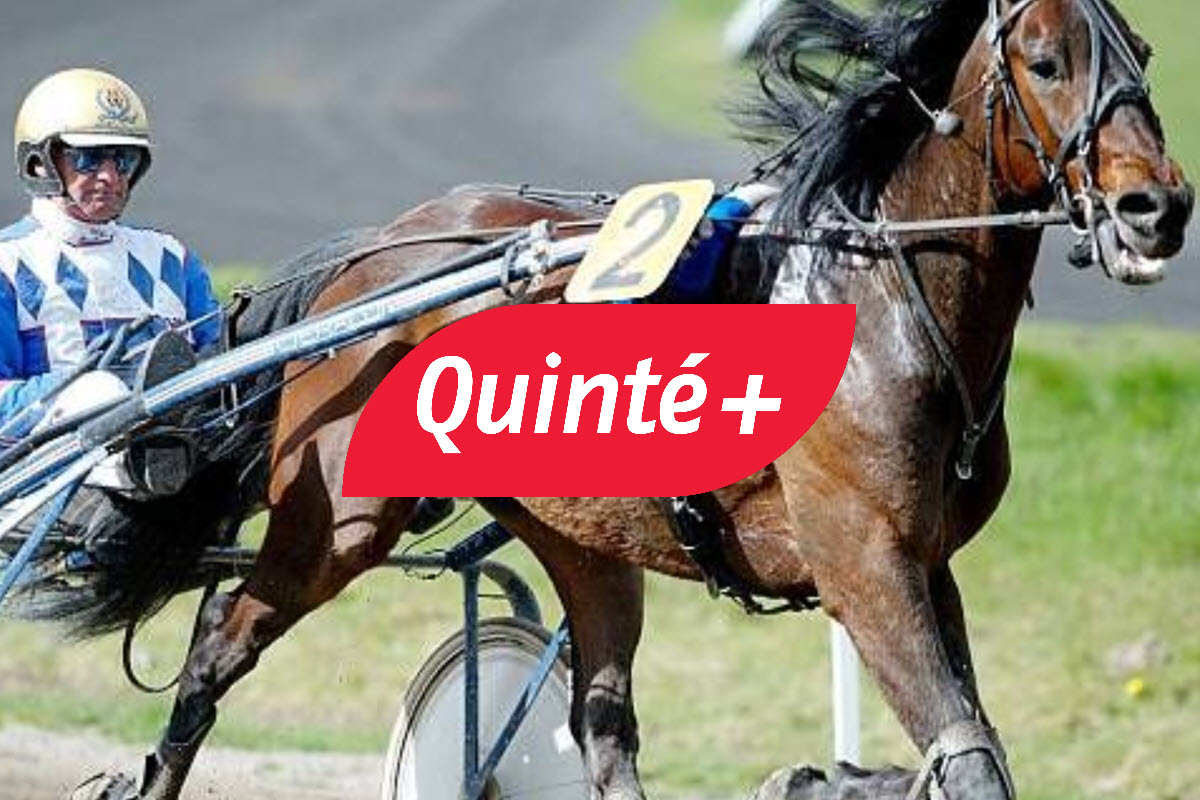 Les prévisions pour le Quinté de Deauville du vendredi 24 janvier 2025, par Pascale Remond-Lamie