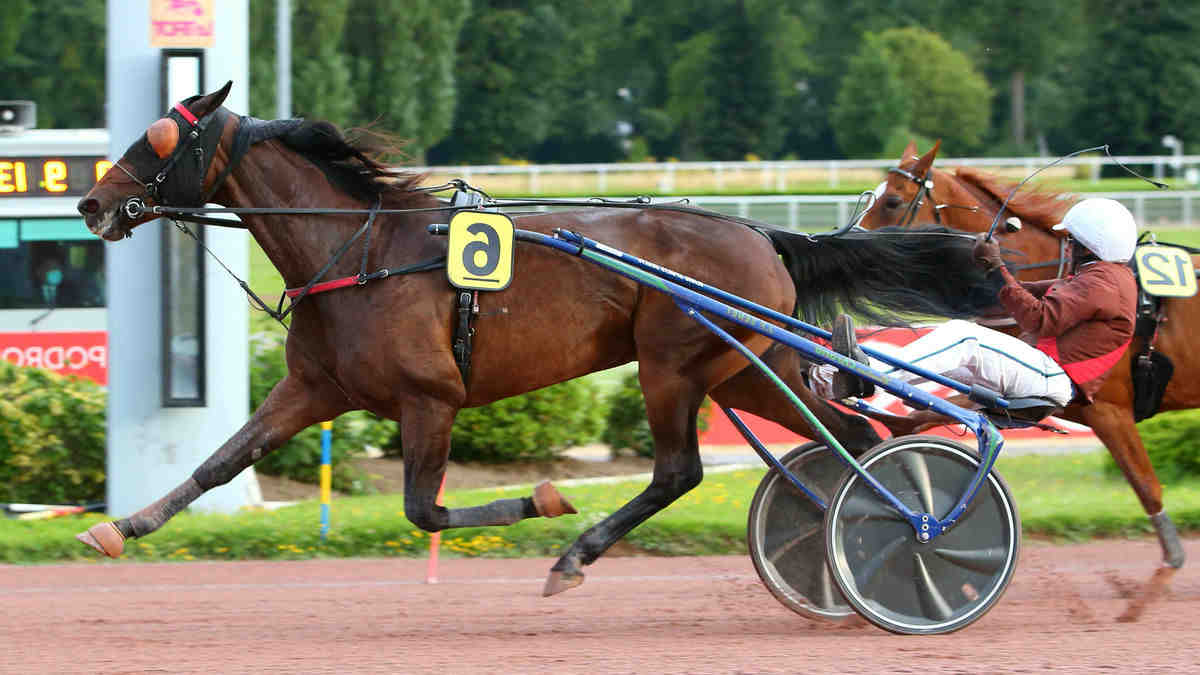 découvrez nos pronostics pour le quinté à vincennes le 6 janvier. analyse détaillée des chevaux, conseils de paris et astuces pour maximiser vos gains lors de cette course captivante.
