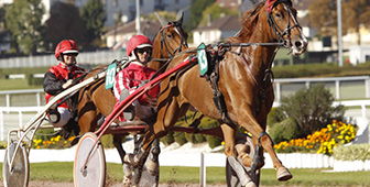 Pronostics hippiques d&rsquo;Hervé Fortin pour le Quinté à Paris Vincennes du 16 février