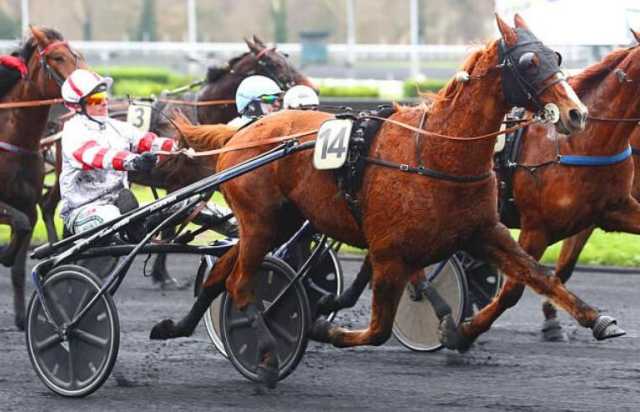 découvrez les dernières informations et analyses sur le quinté de cagnes-sur-mer prévu le 13 février. évaluez les chevaux, les jokers et les cotes pour optimiser vos paris. ne manquez pas cette excellente occasion de gagner !
