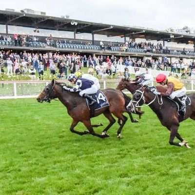 découvrez les pronostics hippiques pour les courses du 21 avril à fontainebleau. analysez les favoris, les statistiques et les conseils d'experts pour maximiser vos chances de gagner lors de cet événement incontournable des courses de chevaux.