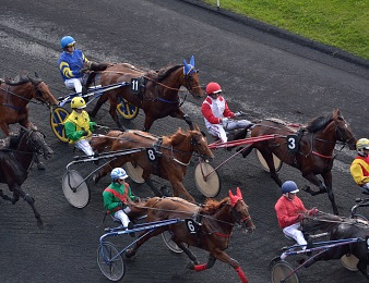 découvrez tout sur le quinté à vincennes, l'événement phare des courses de trot attelé. suivez les dernières infos, analyses, pronostics et résultats pour maximiser vos chances de gagner. ne manquez pas l'excitation des courses à vincennes, où l'adrénaline et le passion se rencontrent !
